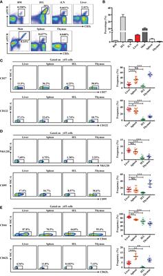 Murine CXCR3+CXCR6+γδT Cells Reside in the Liver and Provide Protection Against HBV Infection